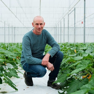 Placeholder for Doelmann Courgettes 2