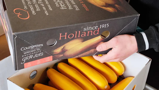 Placeholder for Doelmann Courgettes 23