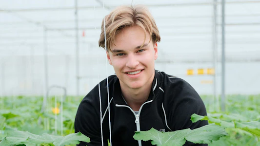 Placeholder for Doelmann Courgettes 5