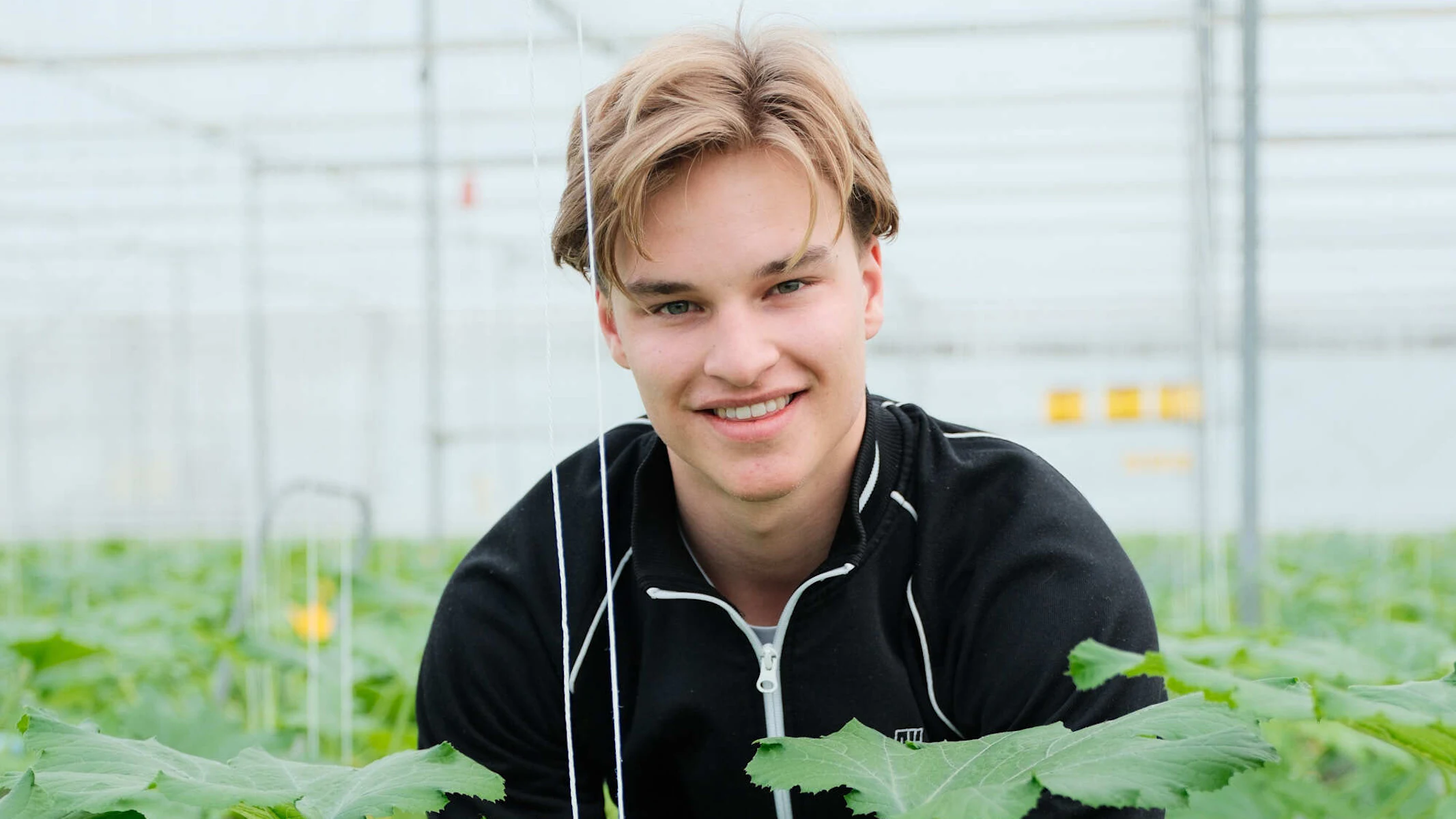 Doelmann Courgettes 5