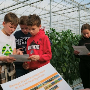 Placeholder for Kokkerelli 3