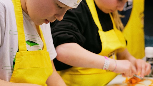 Placeholder for Kokkerelli 48