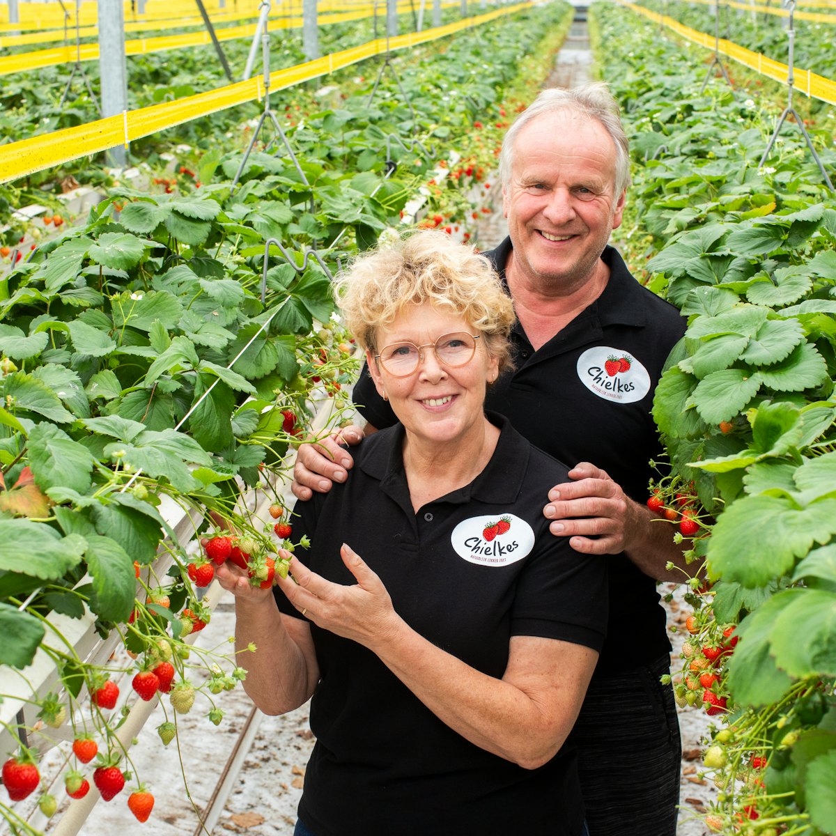 Penninx Chielkes aardbeien 2