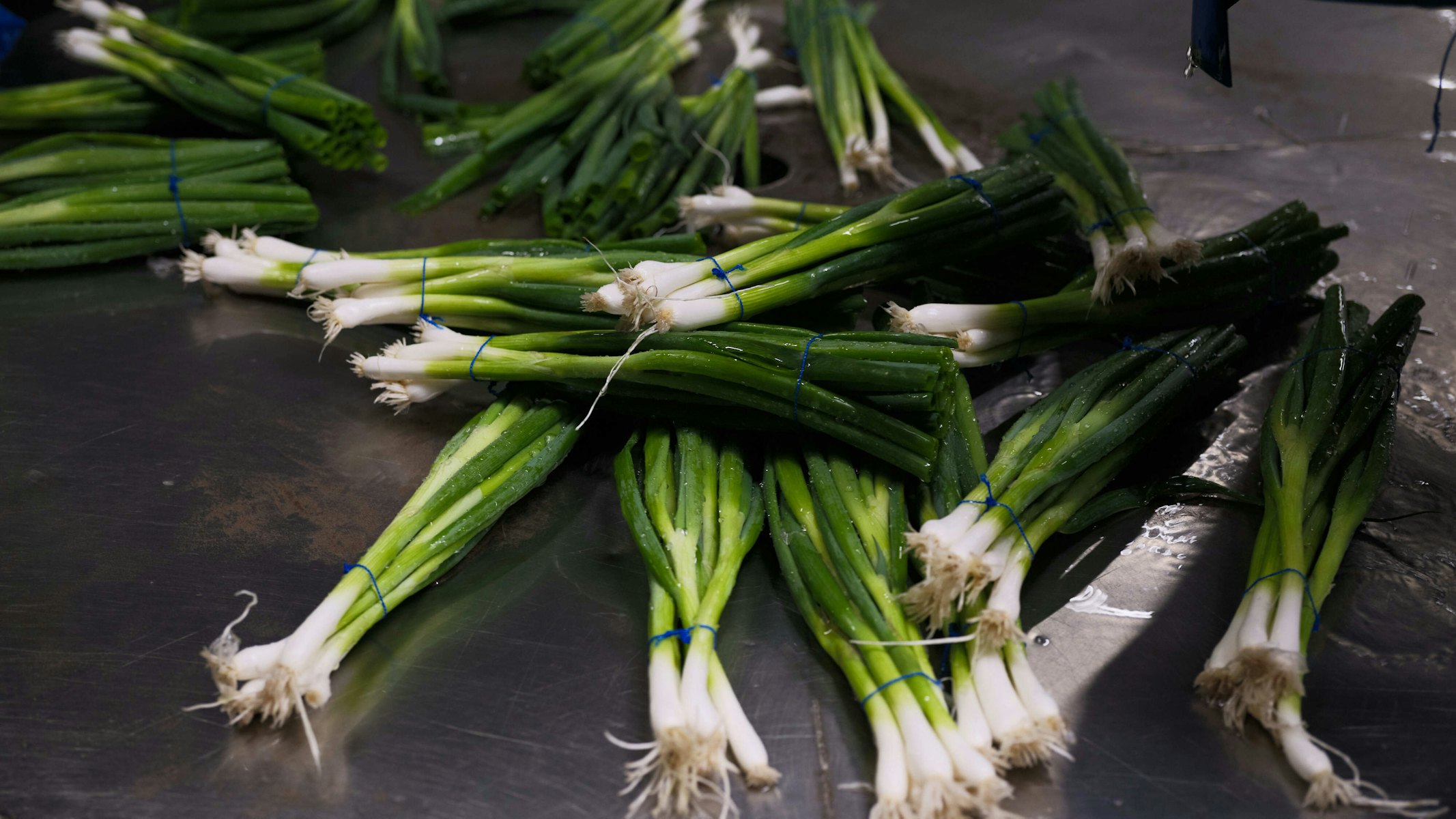 Taco Fresh bosui op draaischijf 3