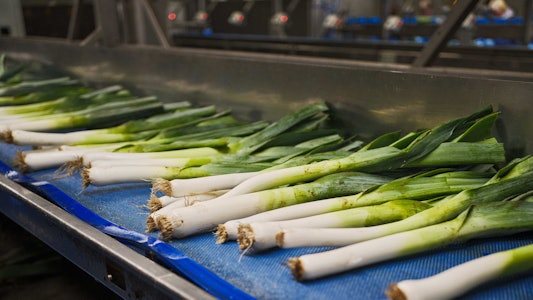 Placeholder for Taco Fresh prei op band