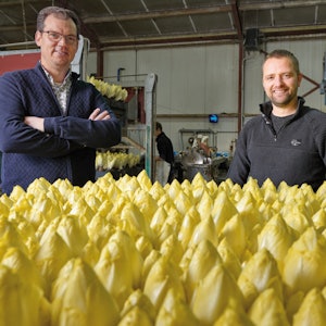 Placeholder for Witlofkwekerij LOF