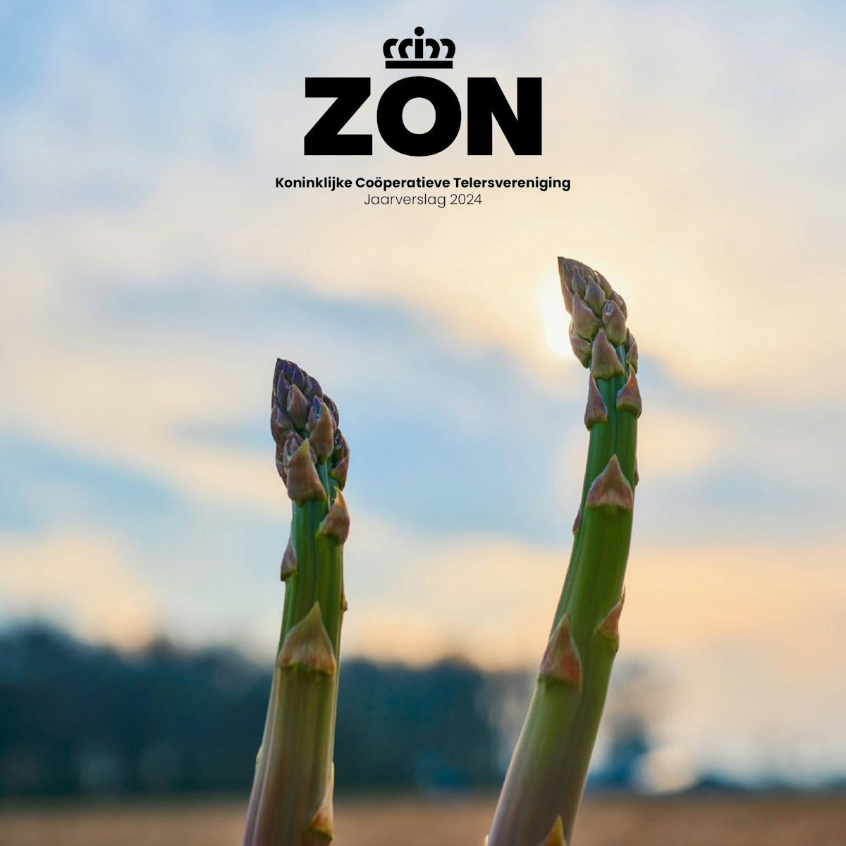 ZON JVS 2024 losbladig 1