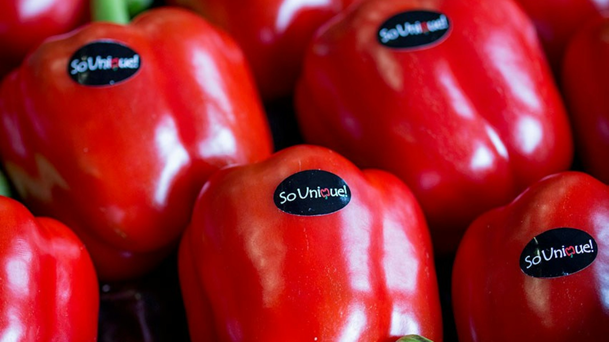 2016 0505 So Unique 1