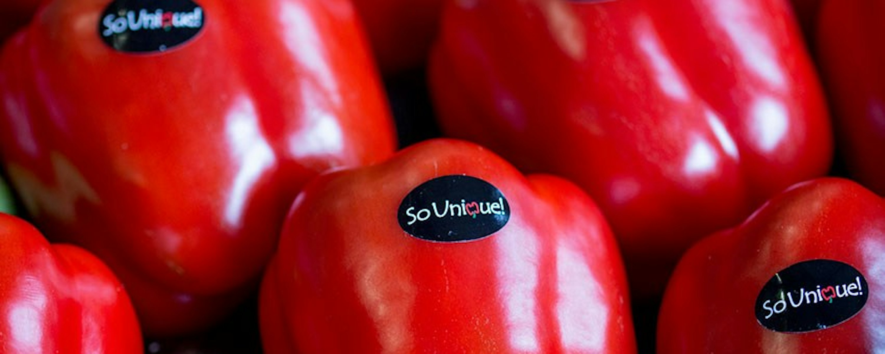 2016 0505 So Unique 1