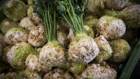 Placeholder for Knolselderij 4