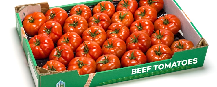 Placeholder for Beef tomatoes HH doos