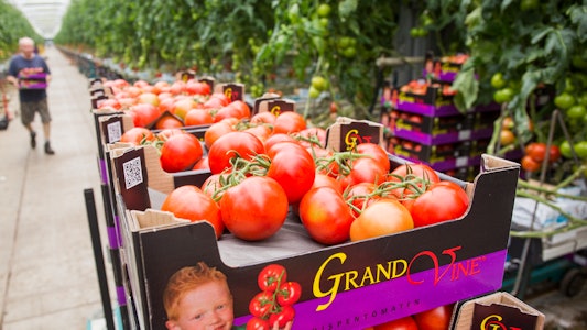 Placeholder for Grand Vine vd Kaaij 1