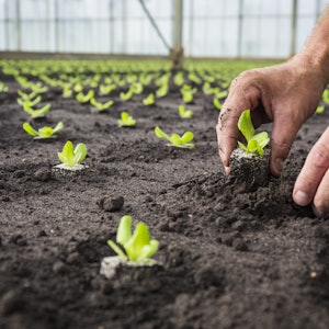 Placeholder for Sla in kas 1