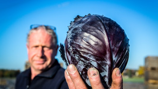 Placeholder for Rode Kool 49