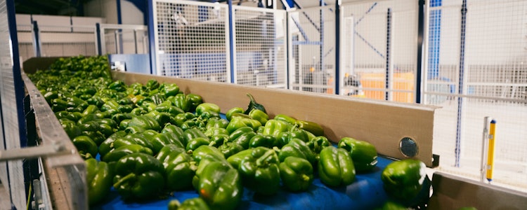 Placeholder for Sofinus en Johan 15