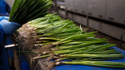 Placeholder for Taco Fresh ongewassen bosui op band