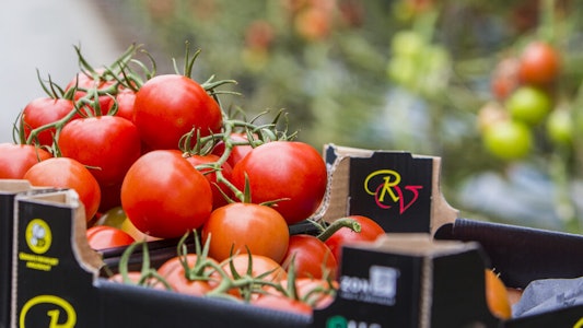 Placeholder for Kaay red vine 39