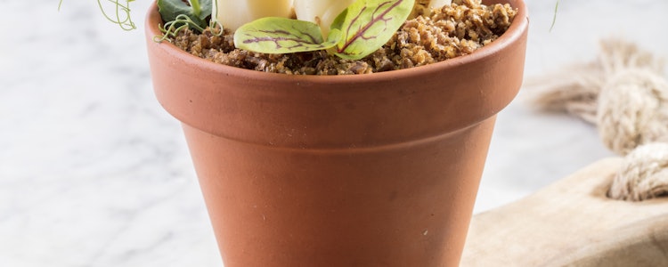 Placeholder for Kruidentuintje met witte asperges en crème fraiche