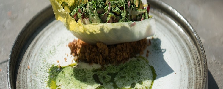 Placeholder for Roodlof luxe roodlof witlof salade