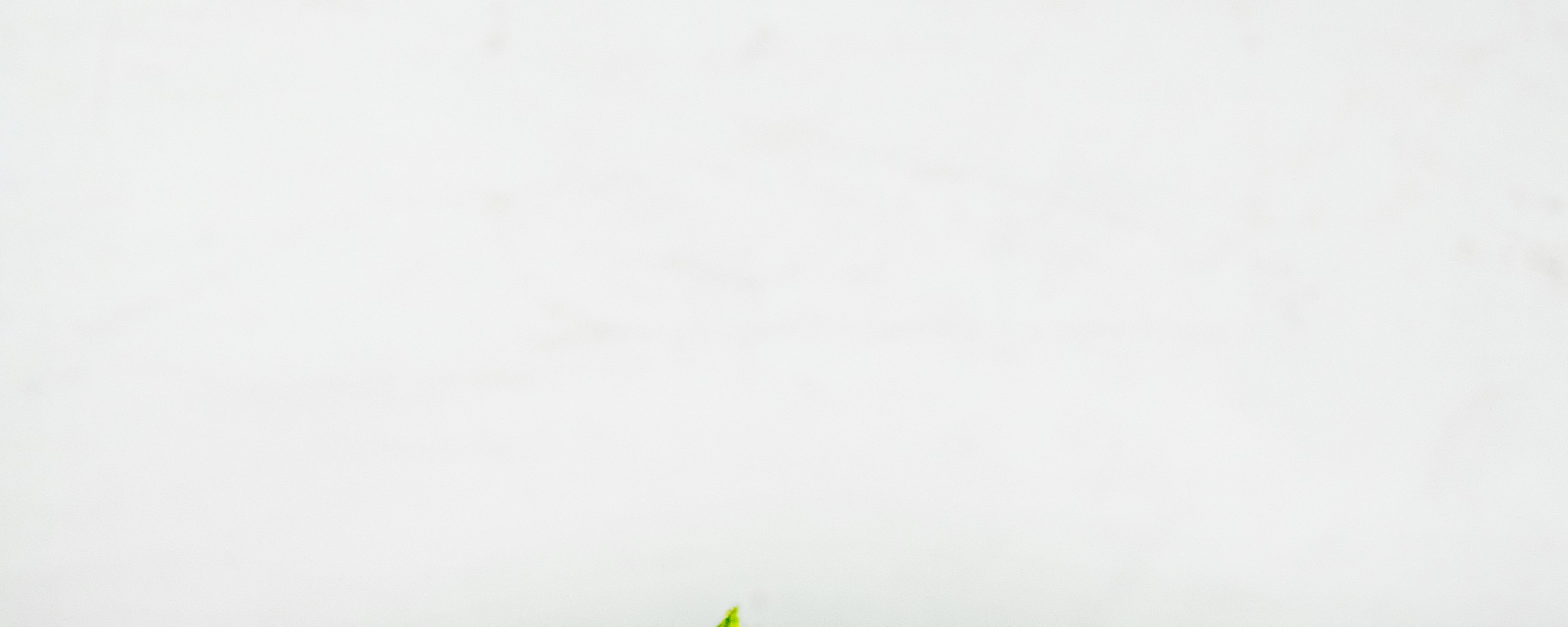 Tomaat basilicumsaus