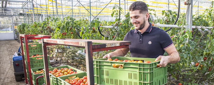 Placeholder for 2022 11 Joost van der Vleuten 10