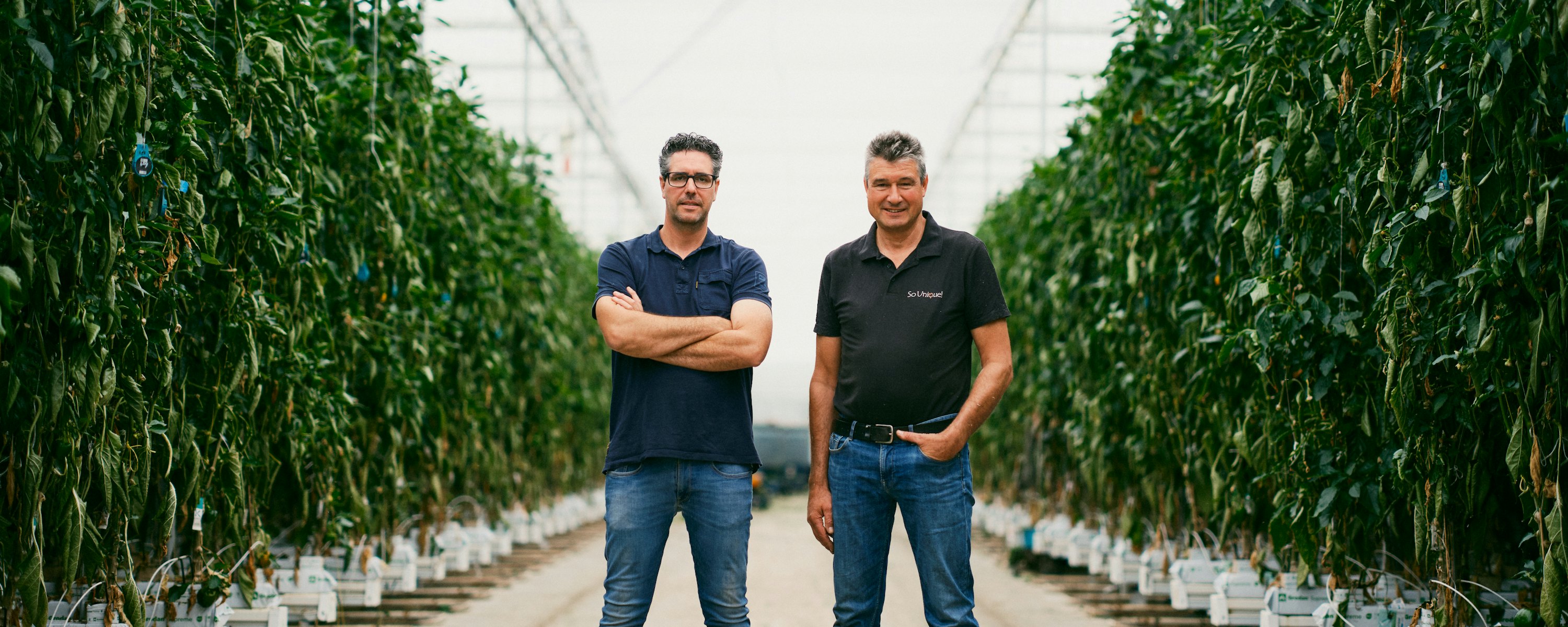 2025 Sofinus en Johan 2