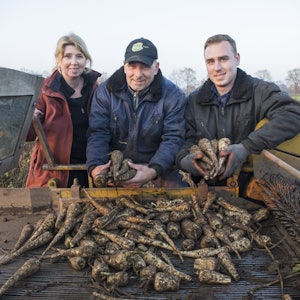 Placeholder for Friesen pastinaak en schorseneren 2