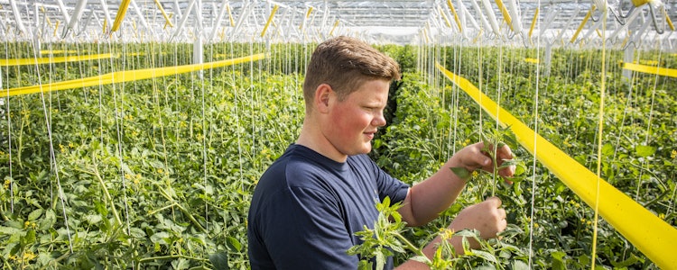 Placeholder for Jorg van der Kaaij 2 voorkeur