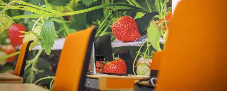 Placeholder for 2023 0512 Afmijnzaal 1