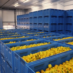 Placeholder for 2025 0425 Gele paprika in bak