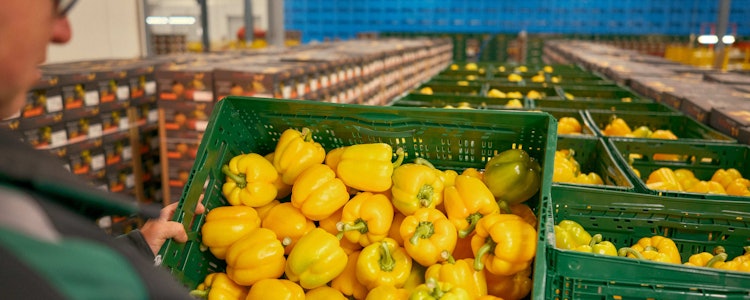 Placeholder for Keuren Peter Hoogers Foto 62