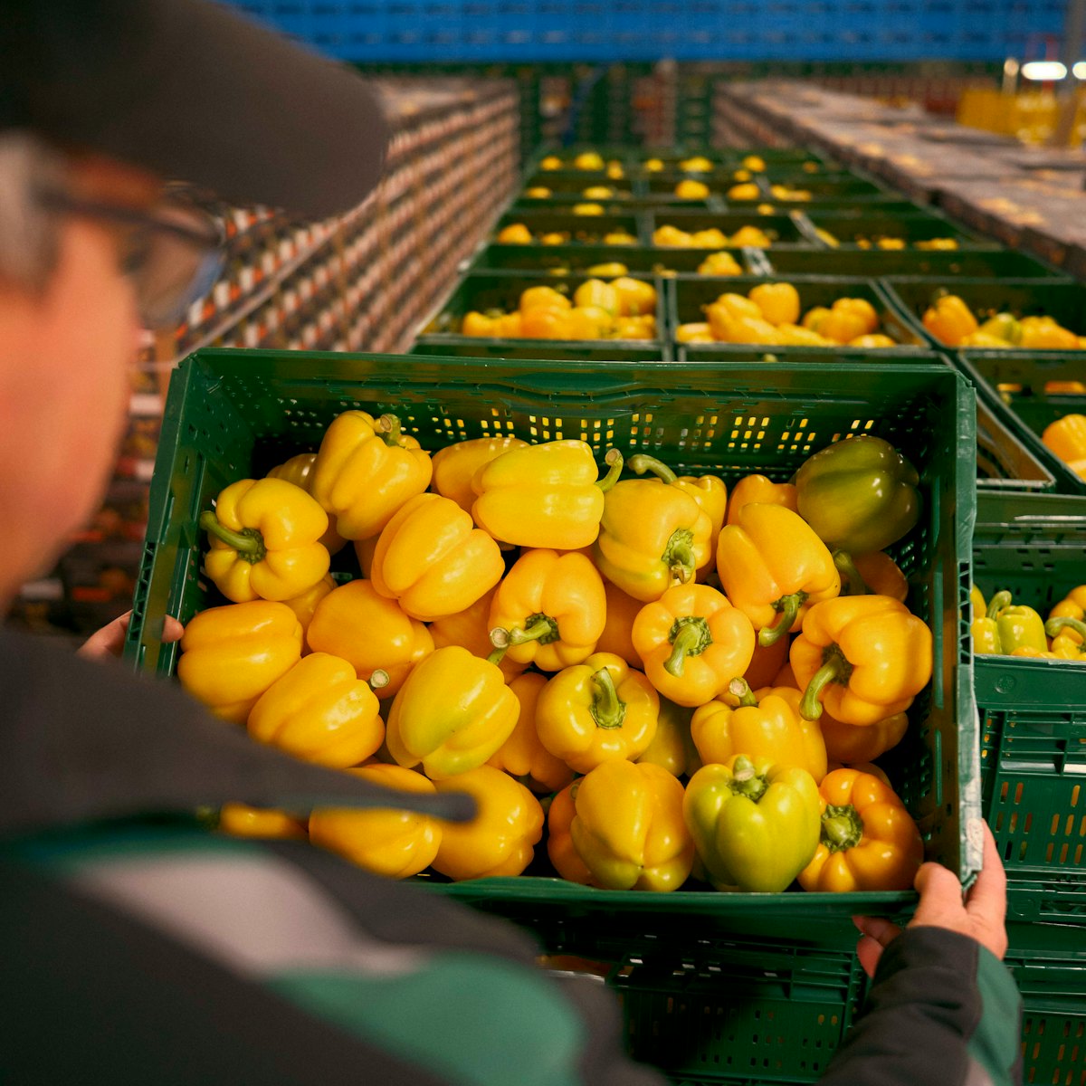 Keuren Peter Hoogers Foto 63